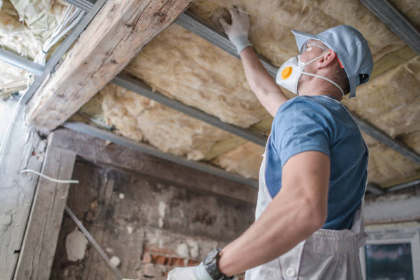 Best Residential Insulation in Salt Creek Commons, IN