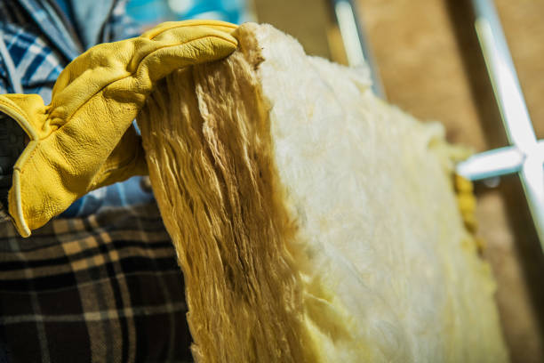 Best Geographic-Specific Insulation Services in Salt Creek Commons, IN