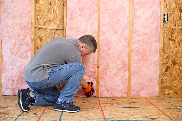 Best Cellulose Insulation in Salt Creek Commons, IN