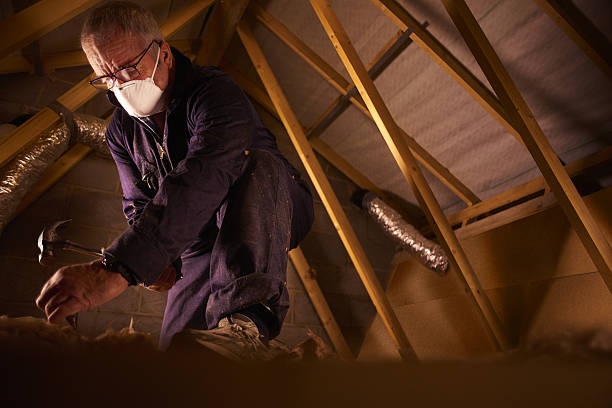 Best DIY Insulation Kits and Guidance in Salt Creek Commons, IN