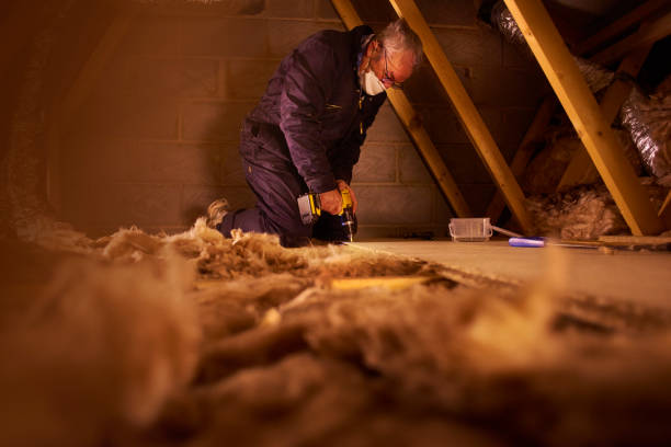 Types of Insulation We Offer in Salt Creek Commons, IN